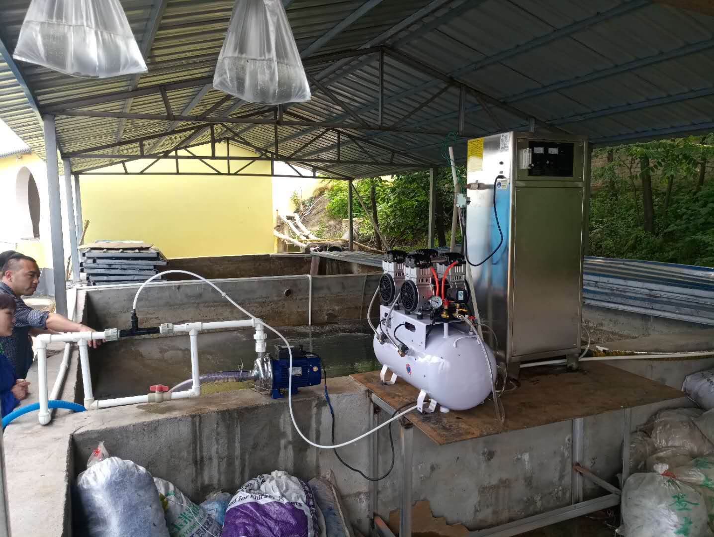 水產養(yǎng)殖-臭氧殺菌消毒增氧效果好【推薦】